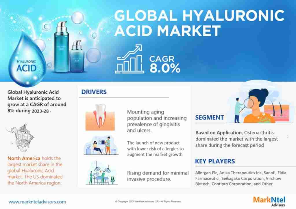 Hyaluronic Acid Market: 5 Key Factors – Industry Segment, Top Companies, Geographical Reach, Opportunities, and Challenges