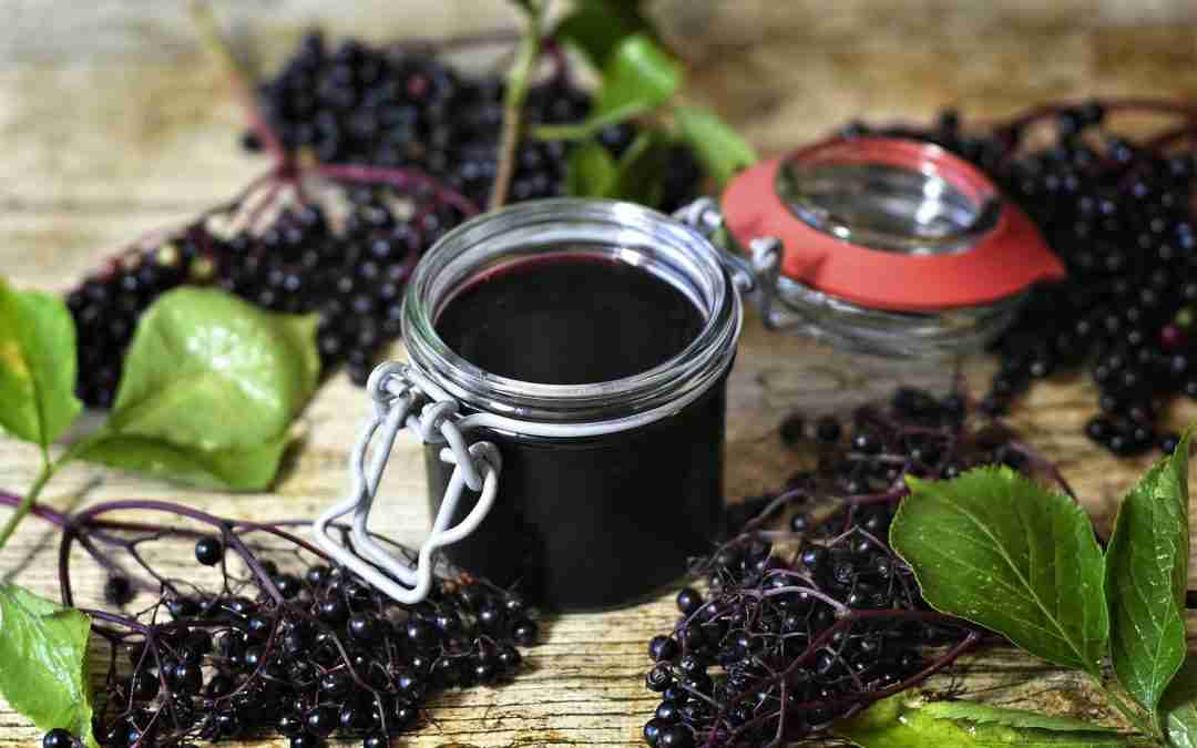 Homemade Elderberry Cough Syrup For Soothing Wellness