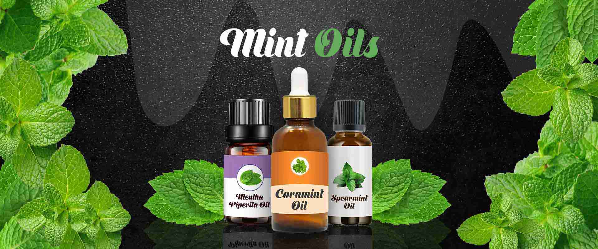 The World of Mint- Essential Oils, Menthol Crystals, and Dementholised Magic