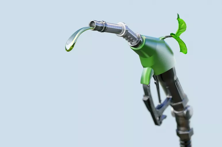 The Rise of Sustainable Energy: Top Biofuels Market Trends