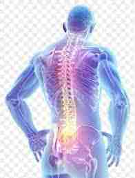 8 Lifestyle Changes to Help Alleviate Low Back Pain