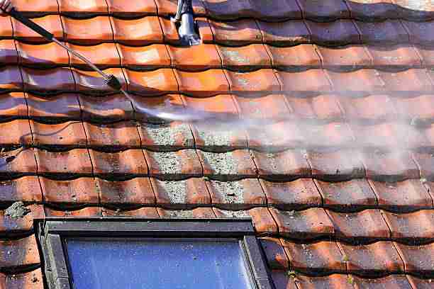 Roof Washing: A Step-by-Step Guide