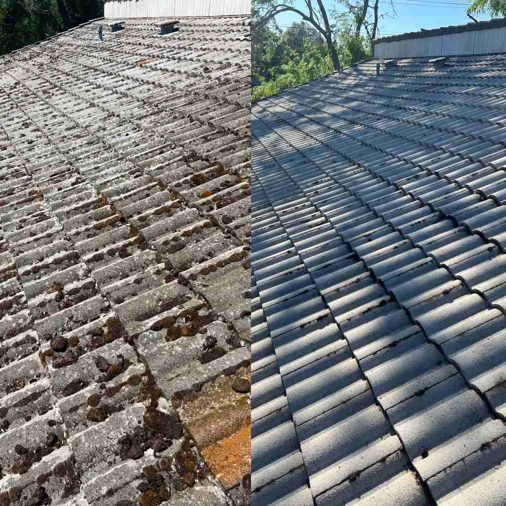 A Fresh Start Above: Transform Your Roof with Professional Cleaning