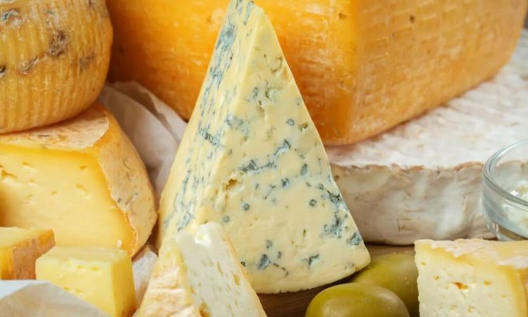 Cheese Analogue Market Size, Share, Trends, Report 2024-2032