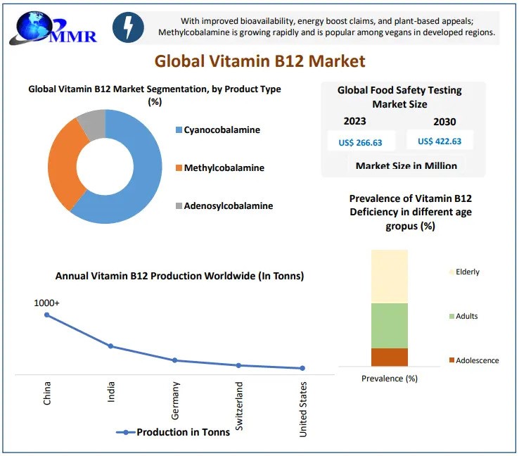 Vitamin B12 Market Size, Share, Scope and Comprehensive Analysis