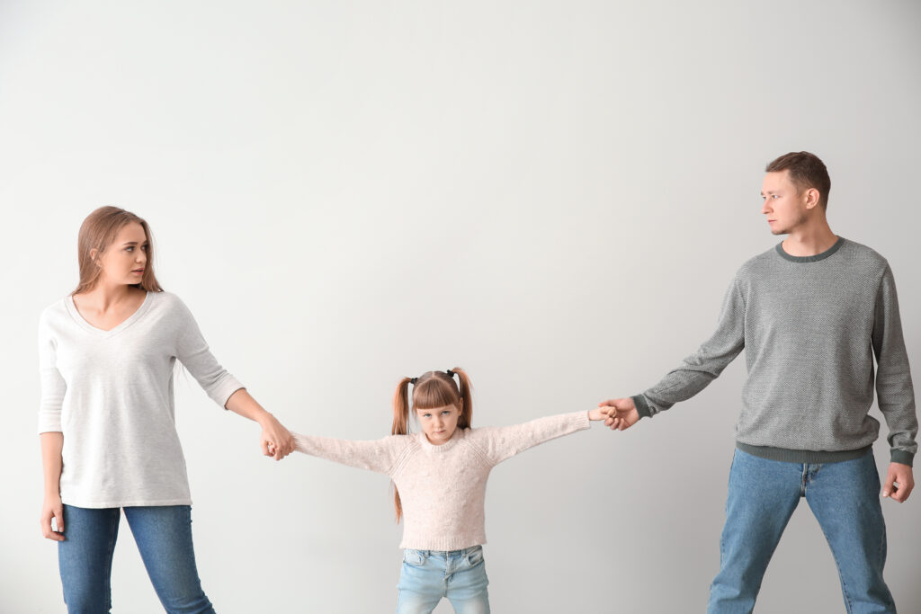 Taking Control of Your Child’s Future: How a Child Custody Lawyer Can Help