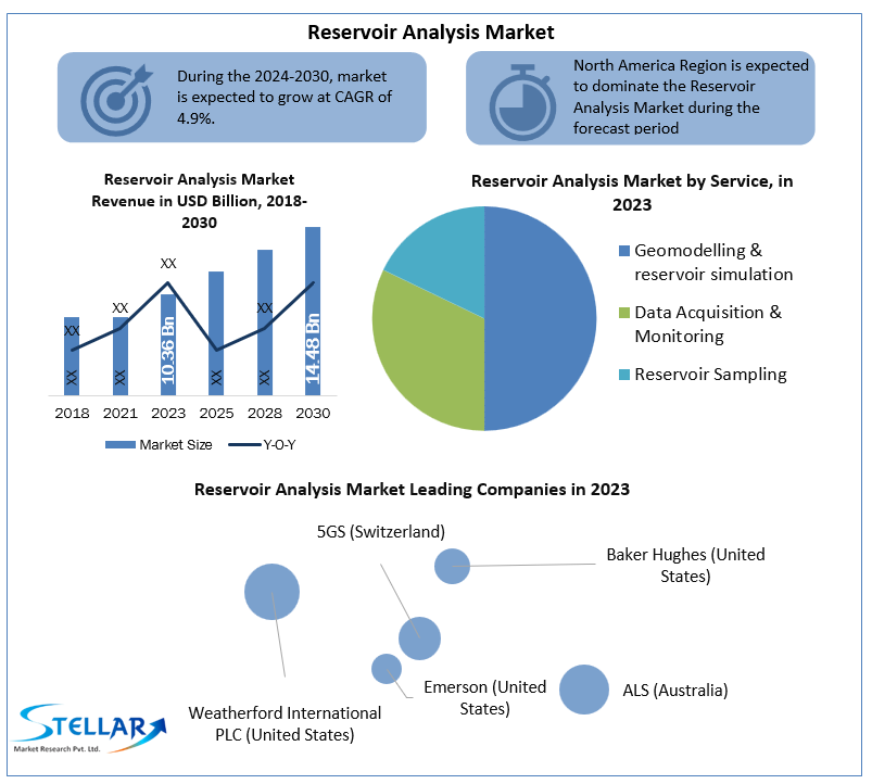 Global Reservoir Analysis Market Trends: Growth, Segmentation, and Forecast (2024-2030)