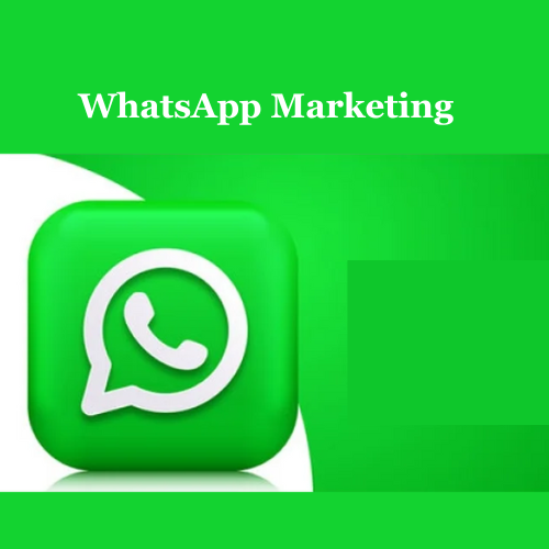 Harnessing the Power of WhatsApp Marketing for Gyms and Wellness Centers