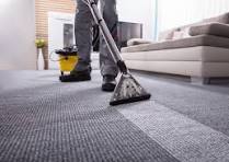 Professional Carpet Cleaning: Enhancing Home Beauty and Wellbeing