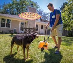 Dog Poop Removal Schaumburg IL: Ensuring Clean Yards and Happy Pets
