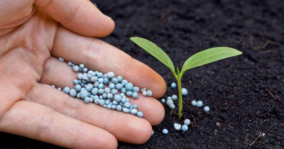 Best Fertilizers in Pakistan: Ensuring Optimal Growth with Zaraee