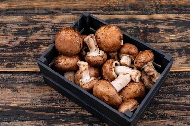 Mushroom Boxes: Cultivating Convenience and Sustainability