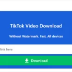 SnapTik Download TikTok Video Downloader Without Watermark O