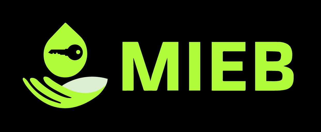 Mieb VPN – Unleash the Full Power of the Internet, Your Way