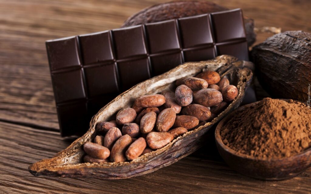 Cocoa Market Demand Insights: In-Depth Market Research