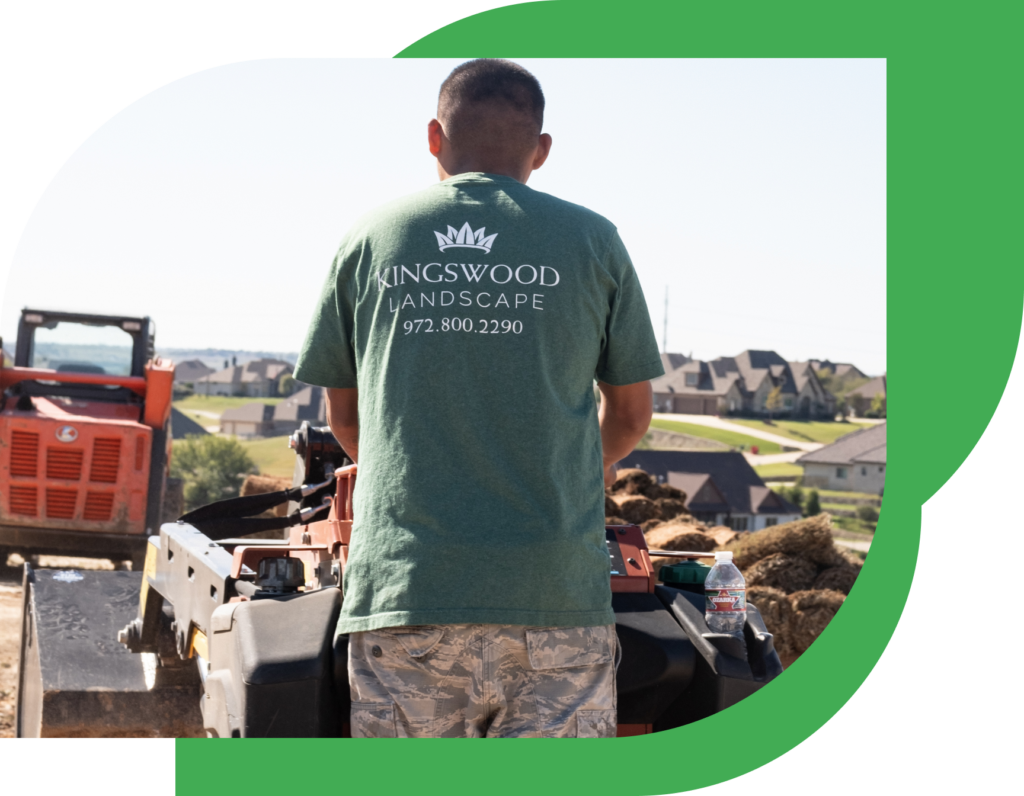 Professional Landscape Design and Installation Made Easy