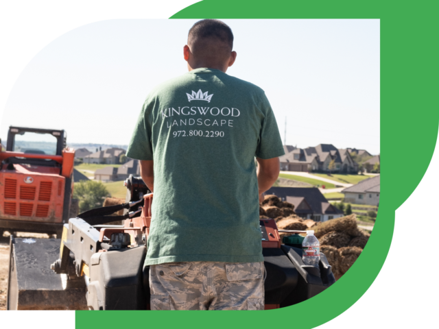 Professional Landscape Design and Installation Made Easy