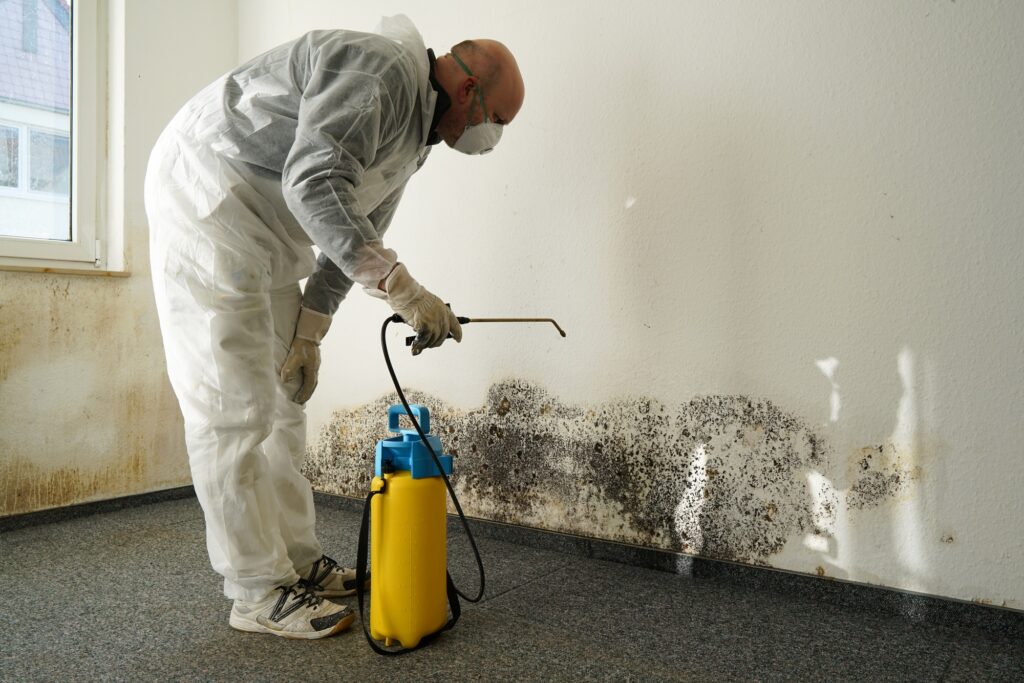 Stop Water Damage Fast with Expert Restoration Services