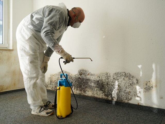 Stop Water Damage Fast with Expert Restoration Services