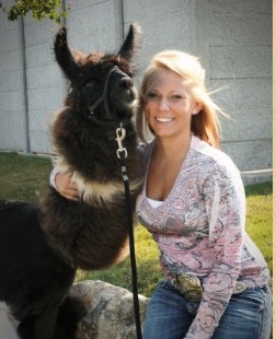 Leslie Lane Llama Farm