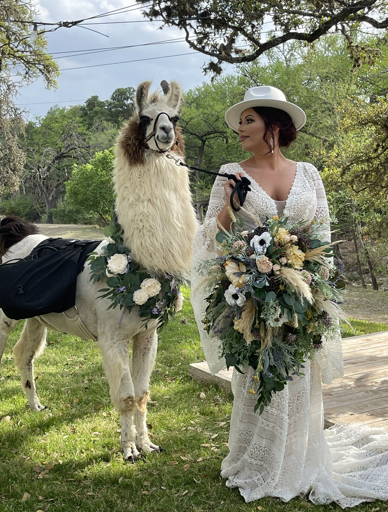 Tailored Moments & Happy Faces: Llama Tours That Prioritize