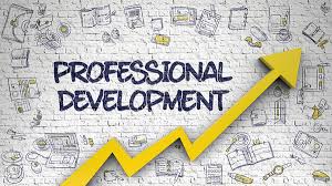 Why is Professional Development Important?